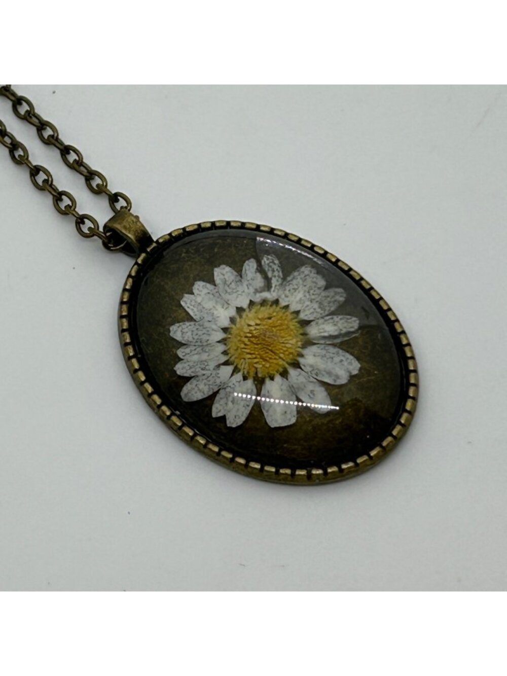 Pressed Daisy Flower Resin Oval Pendant Necklace Bronze Tone Boho Botanical